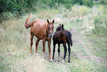 Similar image 22536270