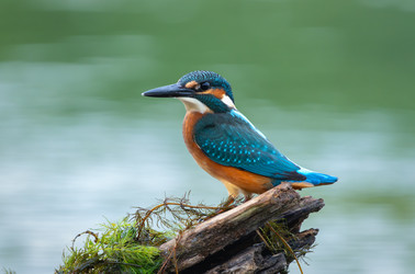 Similar image 22591526