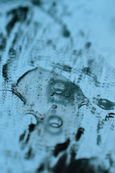 Similar image 22551209