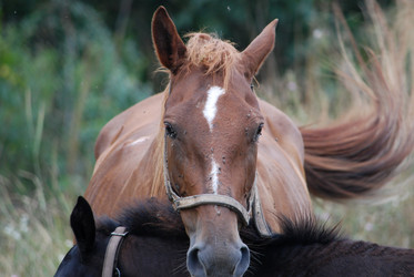 Similar image 22536286