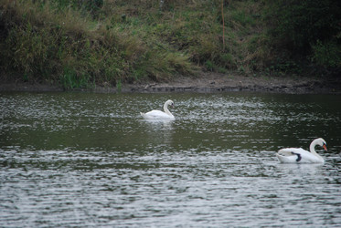 Similar image 22536288