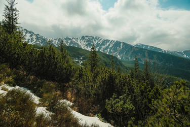 Similar image 22586804