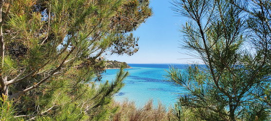 Similar image 22534867