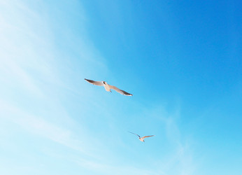 Similar image 22525967