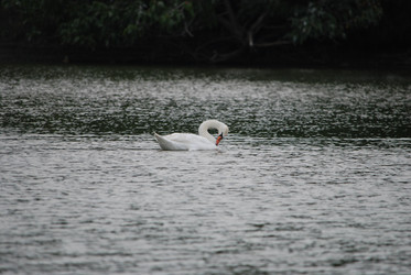 Similar image 22536289