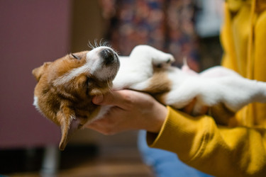 Similar image 22578454