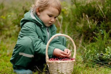 Similar image 22578455