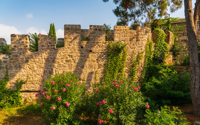 Similar image 22522969