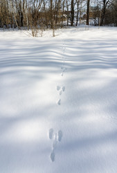 Similar image 22591543