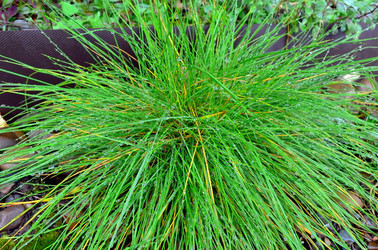 Similar image 22523063