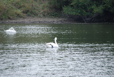 Similar image 22536290