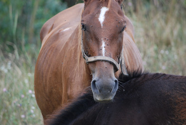 Similar image 22536291