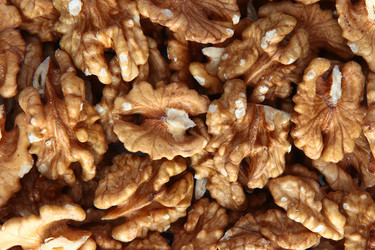 Similar image 22562059