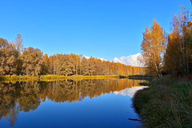 Similar image 22527665