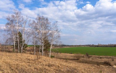 Similar image 22591544