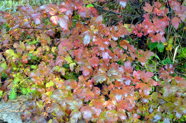 Similar image 22523064