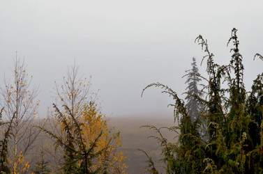 Similar image 22523065