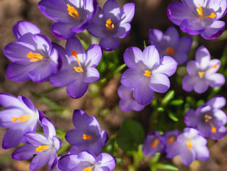 Similar image 22591545