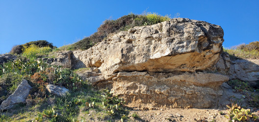 Similar image 22534894