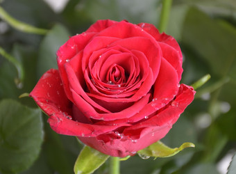 Similar image 22527599