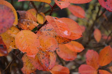 Similar image 22523081