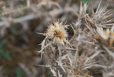 Similar image 22536306