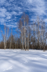 Similar image 22591553