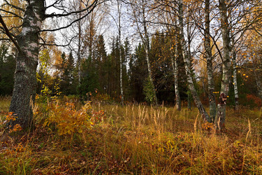 Similar image 22527666