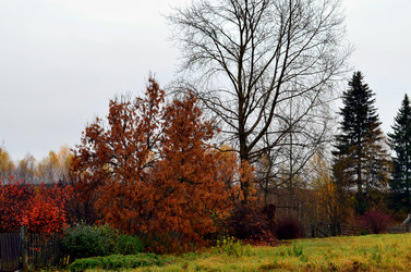 Similar image 22523082