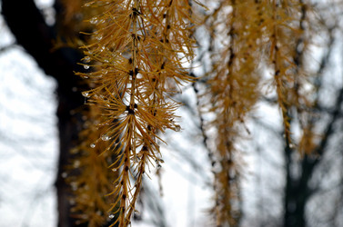 Similar image 22523083