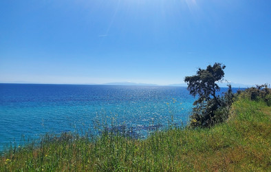 Similar image 22527613