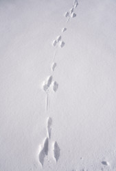 Similar image 22591476