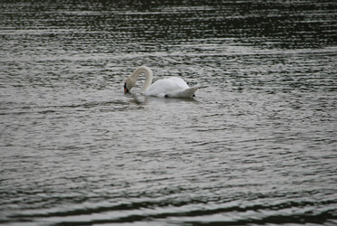 Similar image 22536257