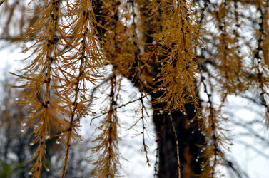 Similar image 22523026