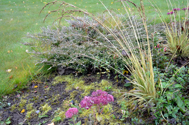 Similar image 22523027