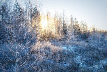 Similar image 22591492