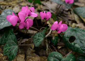 Similar image 22525968