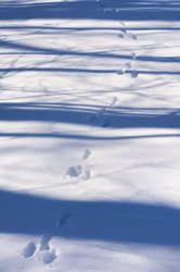 Similar image 22591493