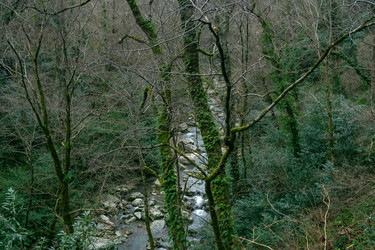 Similar image 22530838