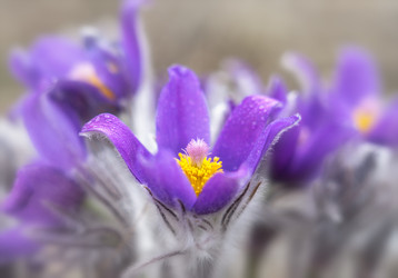 Similar image 22591494