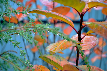 Similar image 22523047