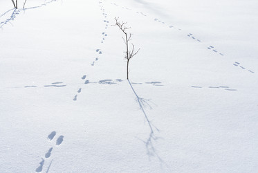 Similar image 22591496