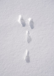 Similar image 22591497