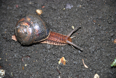 Similar image 22536259