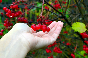 Similar image 22523048