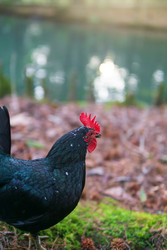 Similar image 22530887