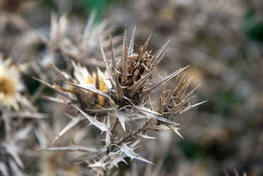 Similar image 22536273