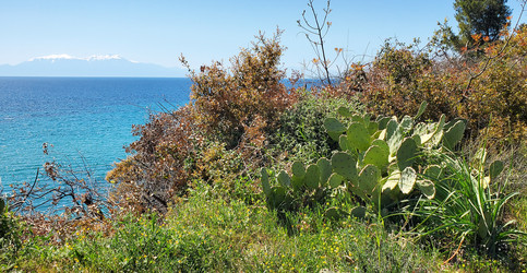 Similar image 22527602