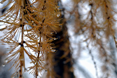 Similar image 22523049