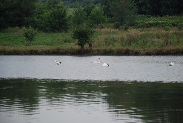 Similar image 22536274